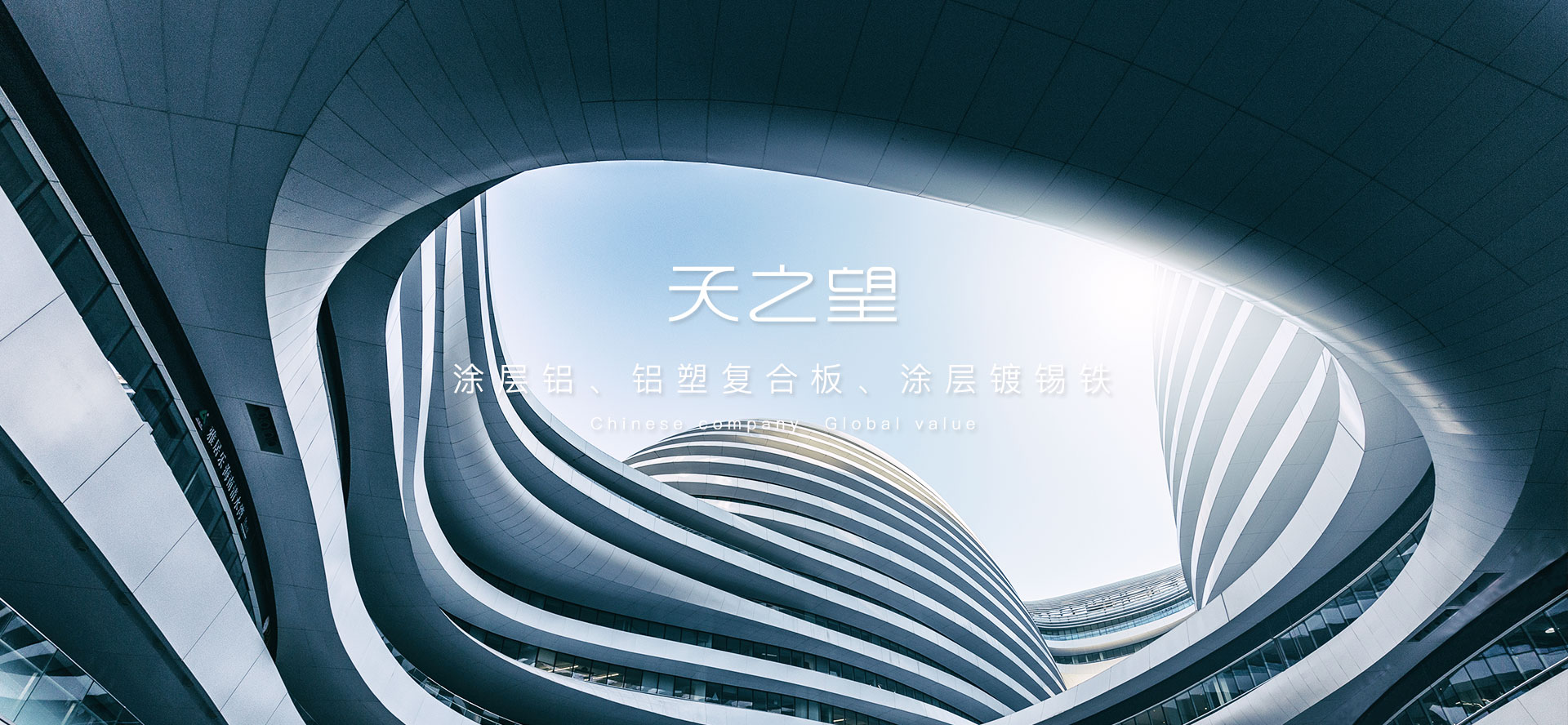 浙江天之望新材料科技有限公司